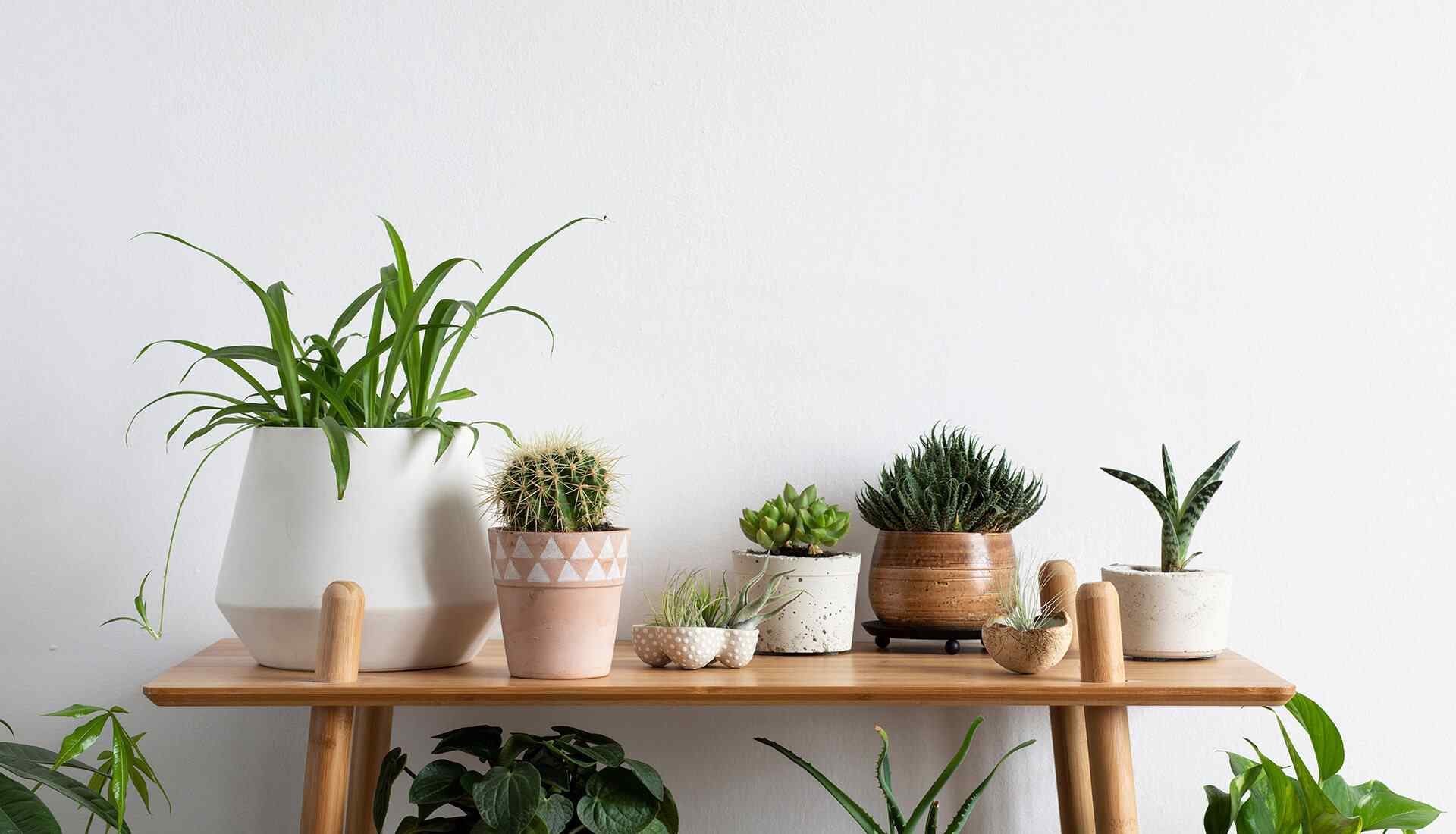 home_03_background_02 https://lakemgtconsultant.com/wp-content/uploads/2019/08/home_03_background_02.jpg
