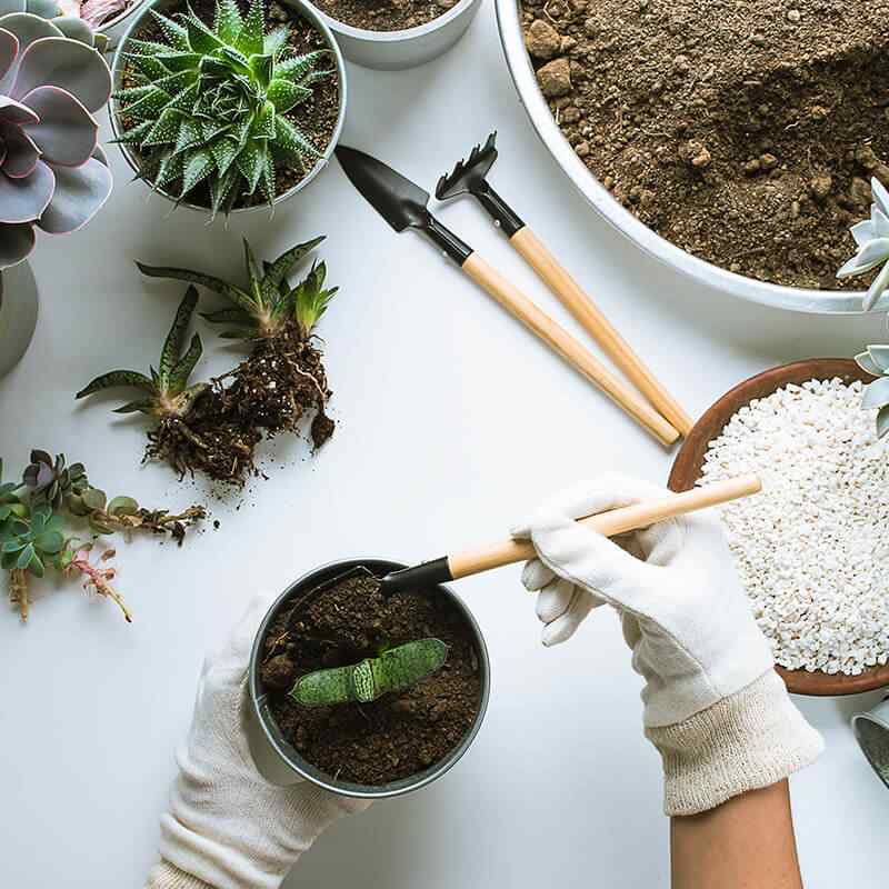 https://lakemgtconsultant.com/wp-content/uploads/2019/08/home_03_gallery_03.jpg