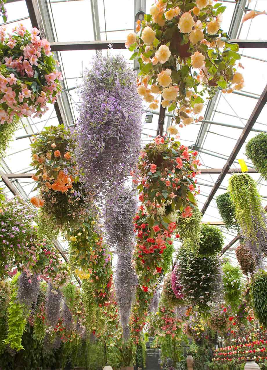 home_03_inner_04 https://lakemgtconsultant.com/wp-content/uploads/2019/08/home_03_inner_04.jpg