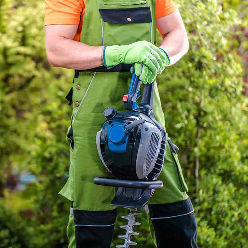 https://lakemgtconsultant.com/wp-content/uploads/2019/08/home_4_services.jpg