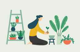 small_inner_home_03 https://lakemgtconsultant.com/wp-content/uploads/2019/08/small_inner_home_03.jpg