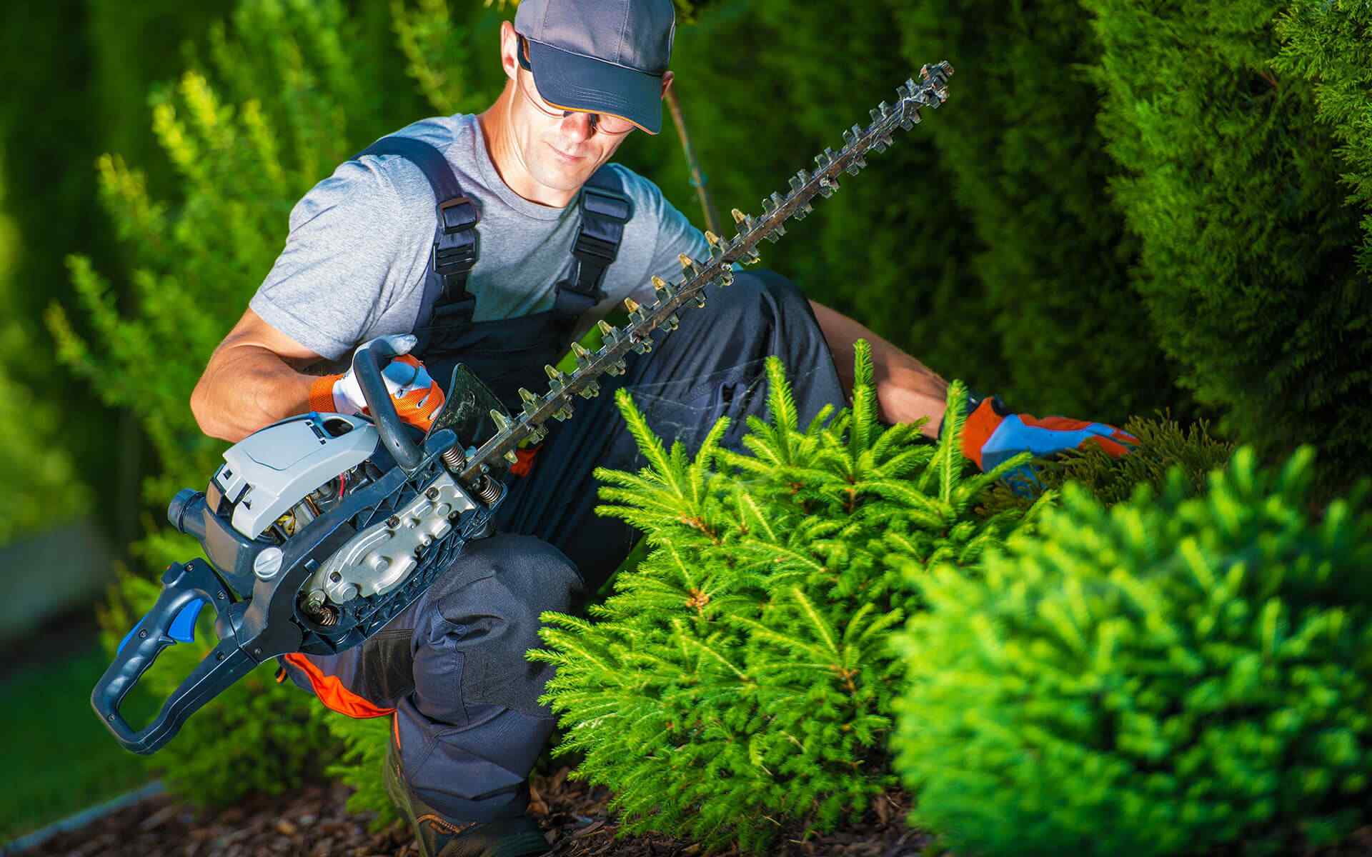 https://lakemgtconsultant.com/wp-content/uploads/2019/10/hero_single_service.jpg