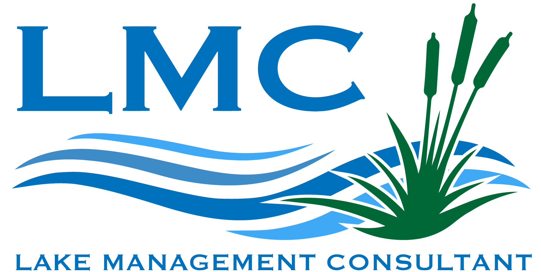 https://lakemgtconsultant.com/wp-content/uploads/2023/05/LMC-LOGO.png